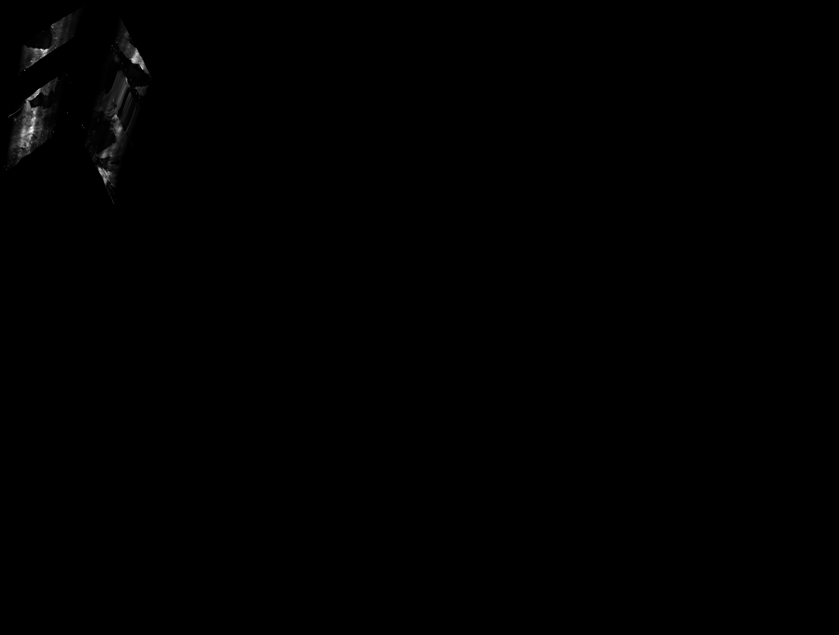 ascat_grayscale_proj_forward.png